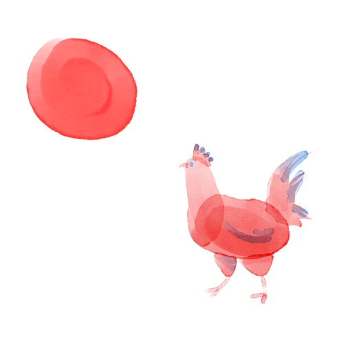 rooster01.jpg